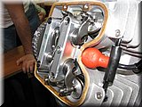 IMG_8137.JPG
