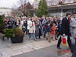 DSC07970.JPG