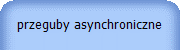 przeguby asynchroniczne