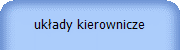 układy kierownicze