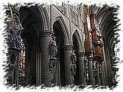IMG_8185.JPG