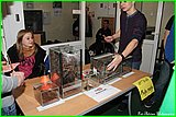 IMG_3556.jpg