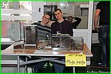 IMG_3582.jpg