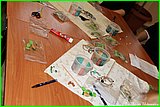 IMG_3652.jpg