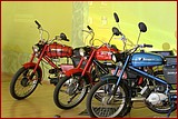 IMG_8344.JPG