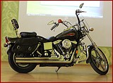 IMG_8346.JPG