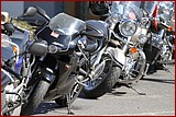 IMG_8428.JPG