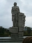 29.JPG