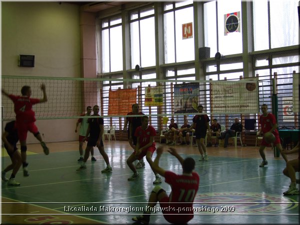 Obraz 313.jpg