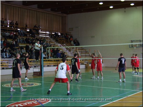 Obraz 329.jpg