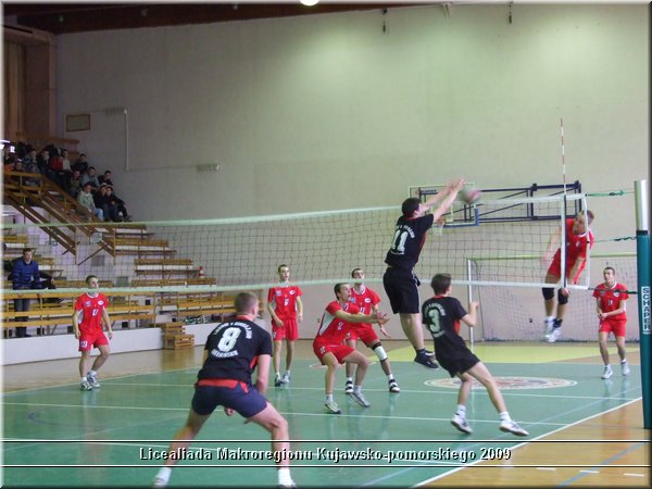 Obraz 331.jpg