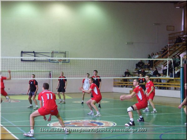 Obraz 344.jpg