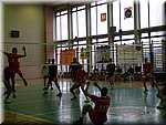 Obraz 313.jpg
