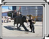 IMG_7312.JPG