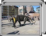 IMG_7314.JPG