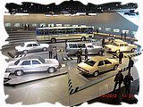 CIMG0135.JPG
