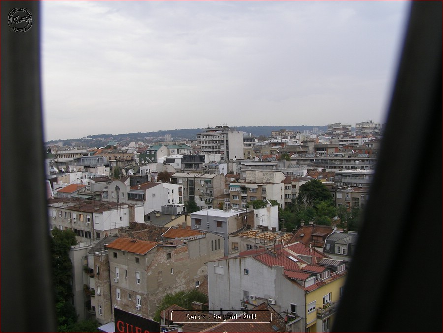 P9200004.JPG
