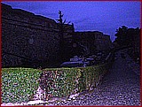 P9200011.JPG