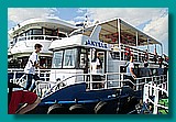 IMG_0240.JPG