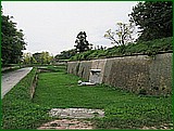IMG_0384.JPG