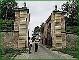 IMG_0385.JPG