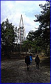 036.jpg