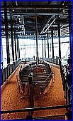 051.jpg