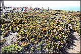 04-007.JPG