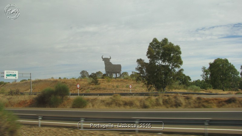 03-005.JPG