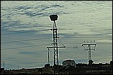 03-006.JPG