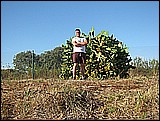 03-007.JPG