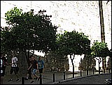03-071.JPG
