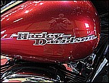 08-033.JPG
