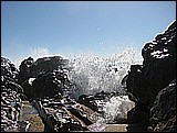 06-003.JPG