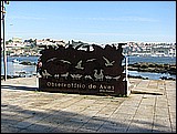 06-019.JPG