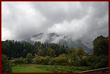 DSC_0439.JPG