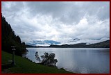 DSC_0697.JPG