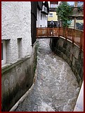 IMG_3707.JPG