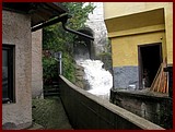 IMG_3725.JPG