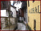 IMG_3727.JPG