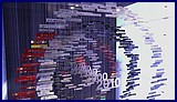 IMG_20170921_131632.jpg