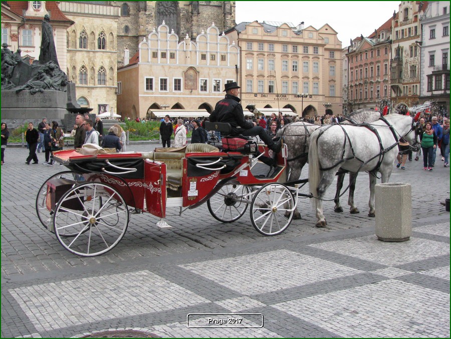 IMG_3558.JPG