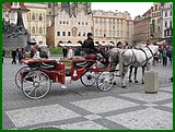IMG_3558.JPG