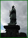 IMG_3567.JPG
