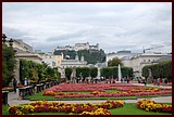 DSC_0719.JPG