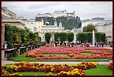 DSC_0720.JPG