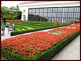 IMG_3732.JPG